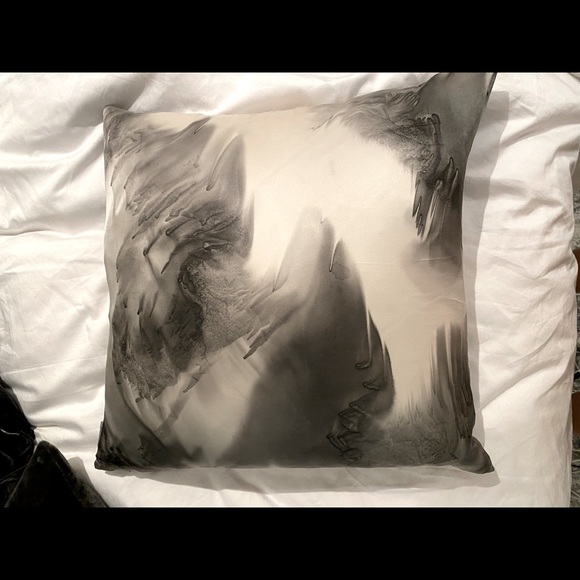 2 Silk 20x20 Aviva Stanoff Black & White Pillows - Picture 6 of 7